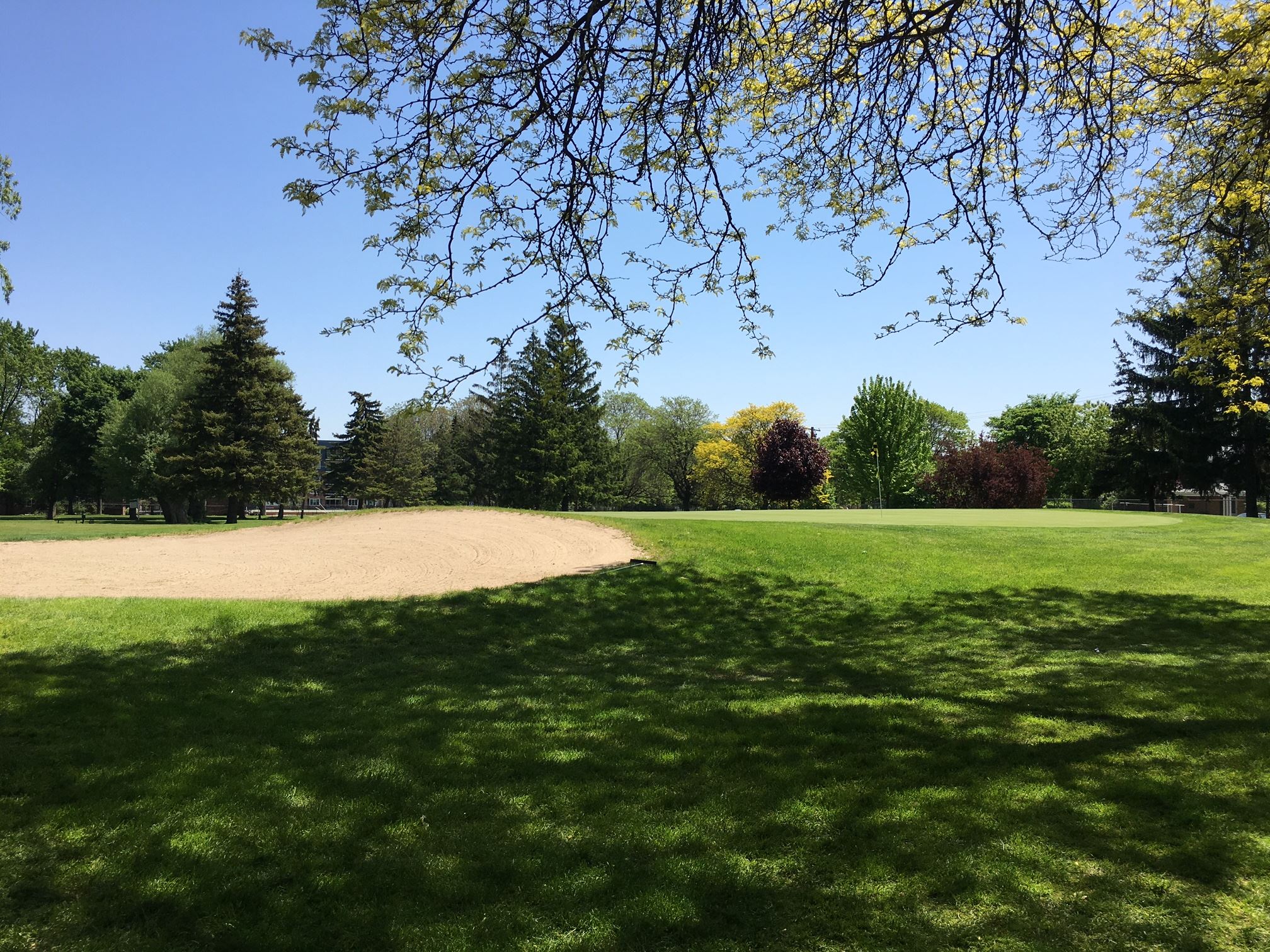 Image of a sand trap at the Royal Oak Golf Club taken on a sunny day.