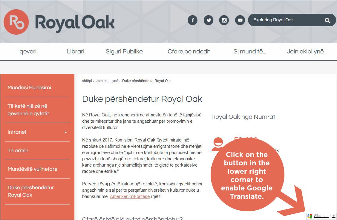 Enable Google Translate