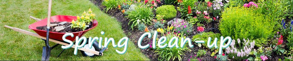 spring clean up