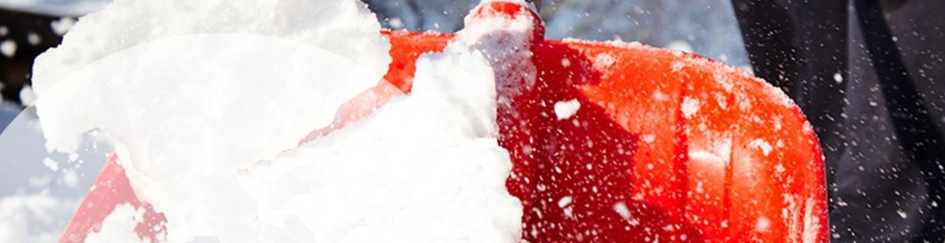 Shovel It Forward Banner