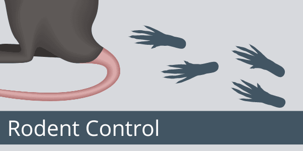 Rodent Control