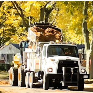 The official schedule is now available online. >>