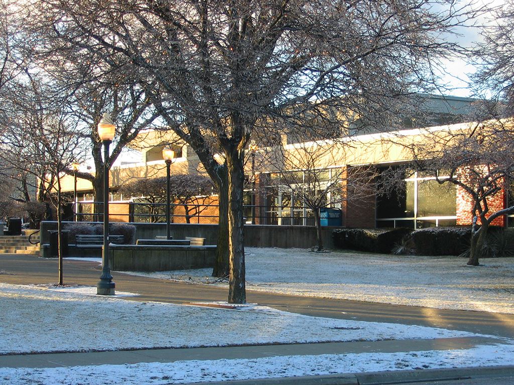 Image of the library from the past.