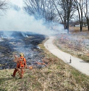 Prescrubed burn in Normandy Oaks, 2024
