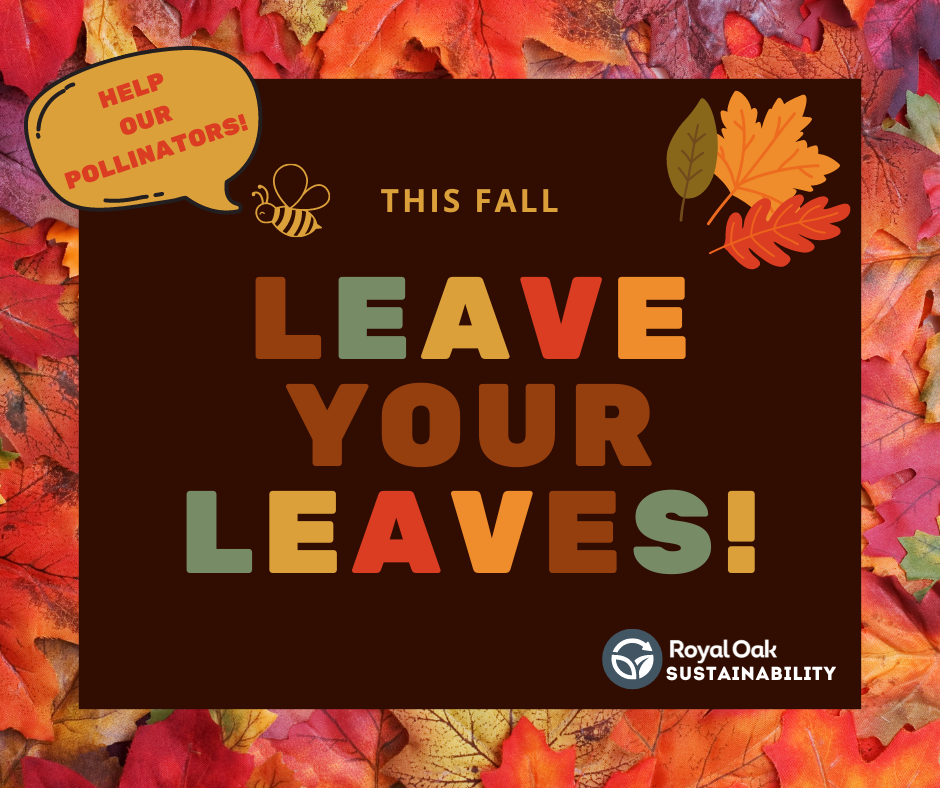 LEAVE YOUR LEAVES